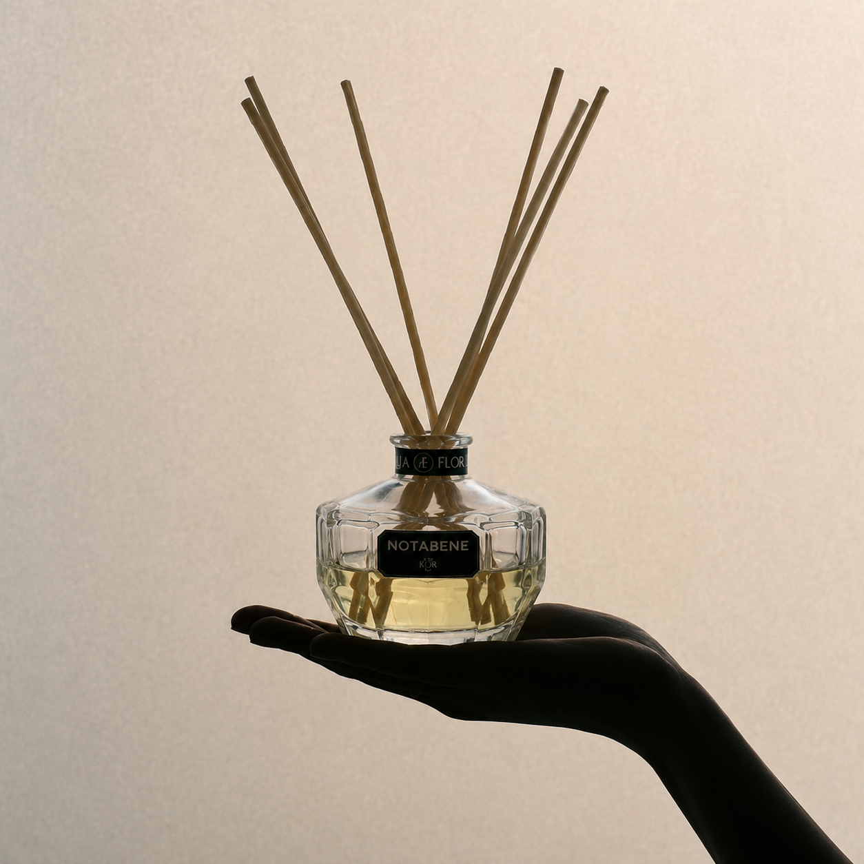 Fragrance Diffuser 100ml