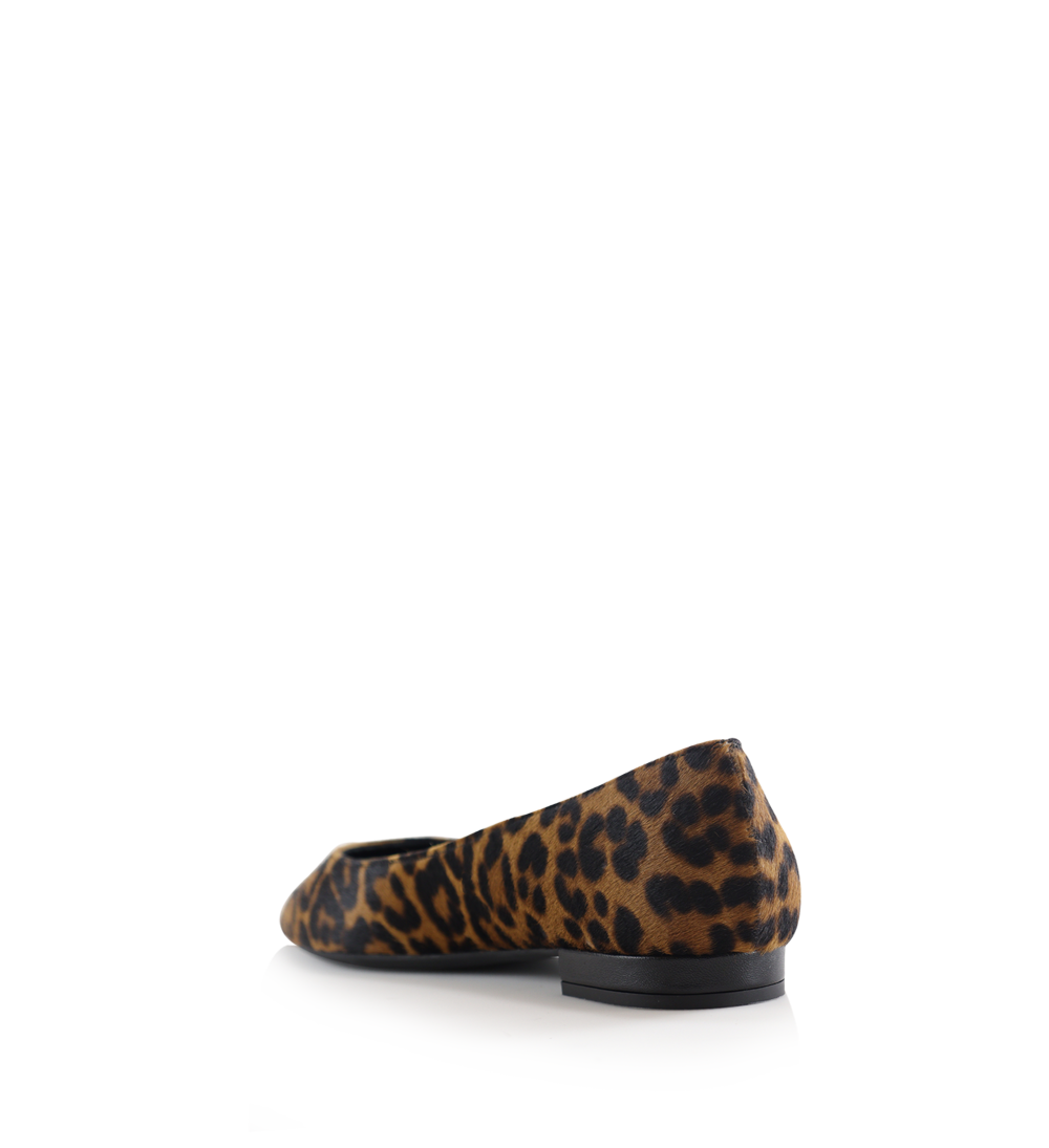 Gisela ballerinaer, leopard kopels